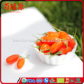 2016 New Crop Dried Organic Goji Berries